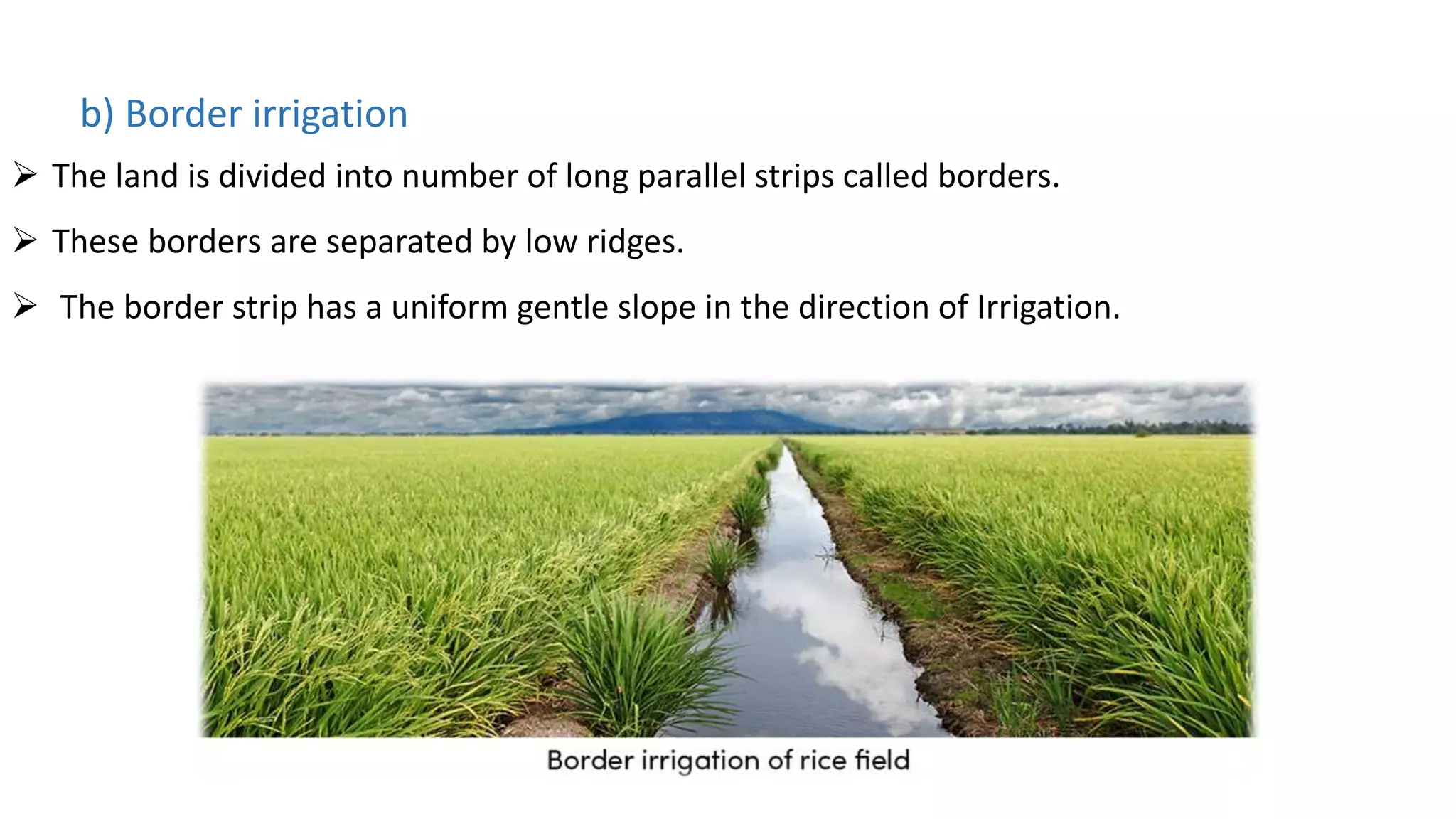 b) Border irrigation
 The land is divided into number of long parallel strips called borders.
 These borders are separated by low ridges.
 The border strip has a uniform gentle slope in the direction of Irrigation.
 