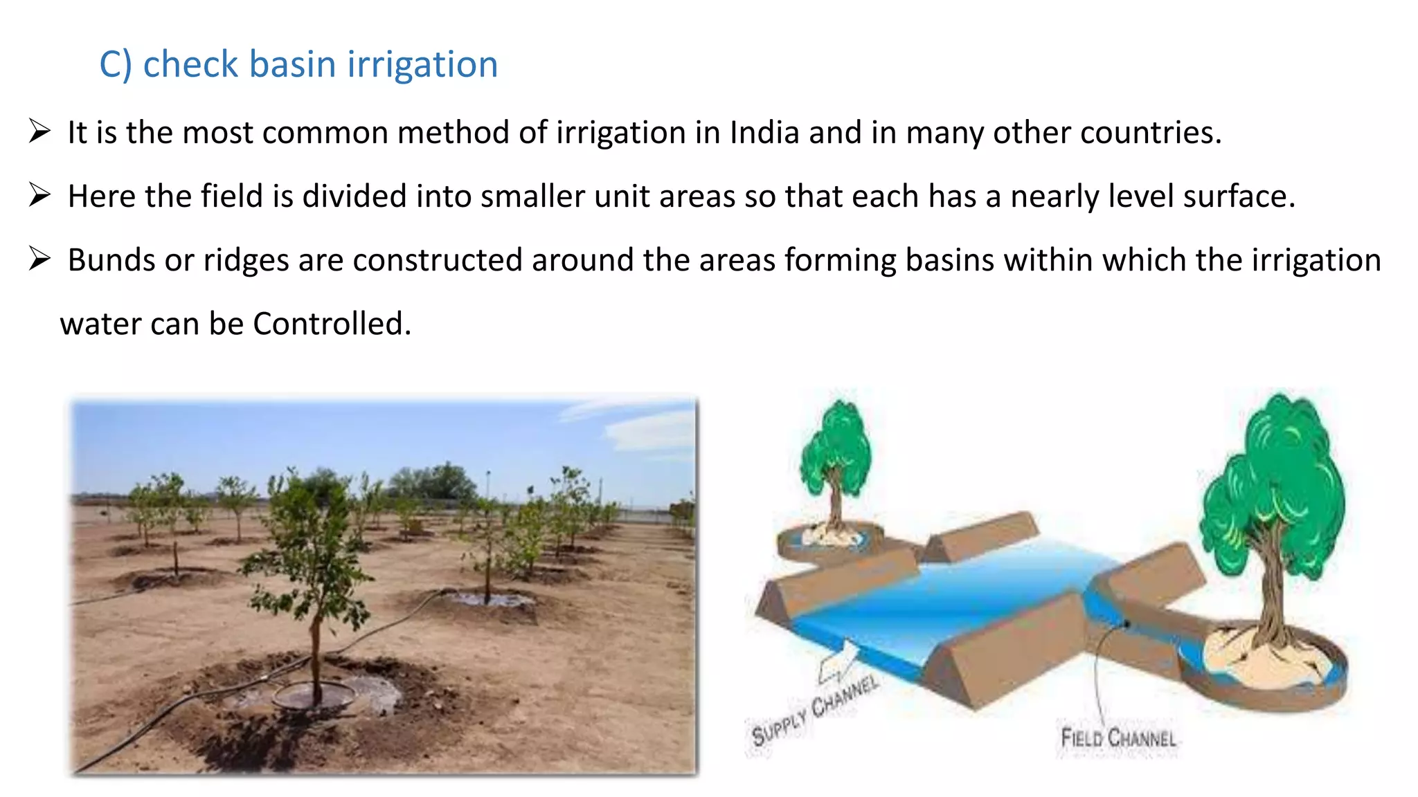 C) check basin irrigation
 It is the most common method of irrigation in India and in many other countries.
 Here the field is divided into smaller unit areas so that each has a nearly level surface.
 Bunds or ridges are constructed around the areas forming basins within which the irrigation
water can be Controlled.
 