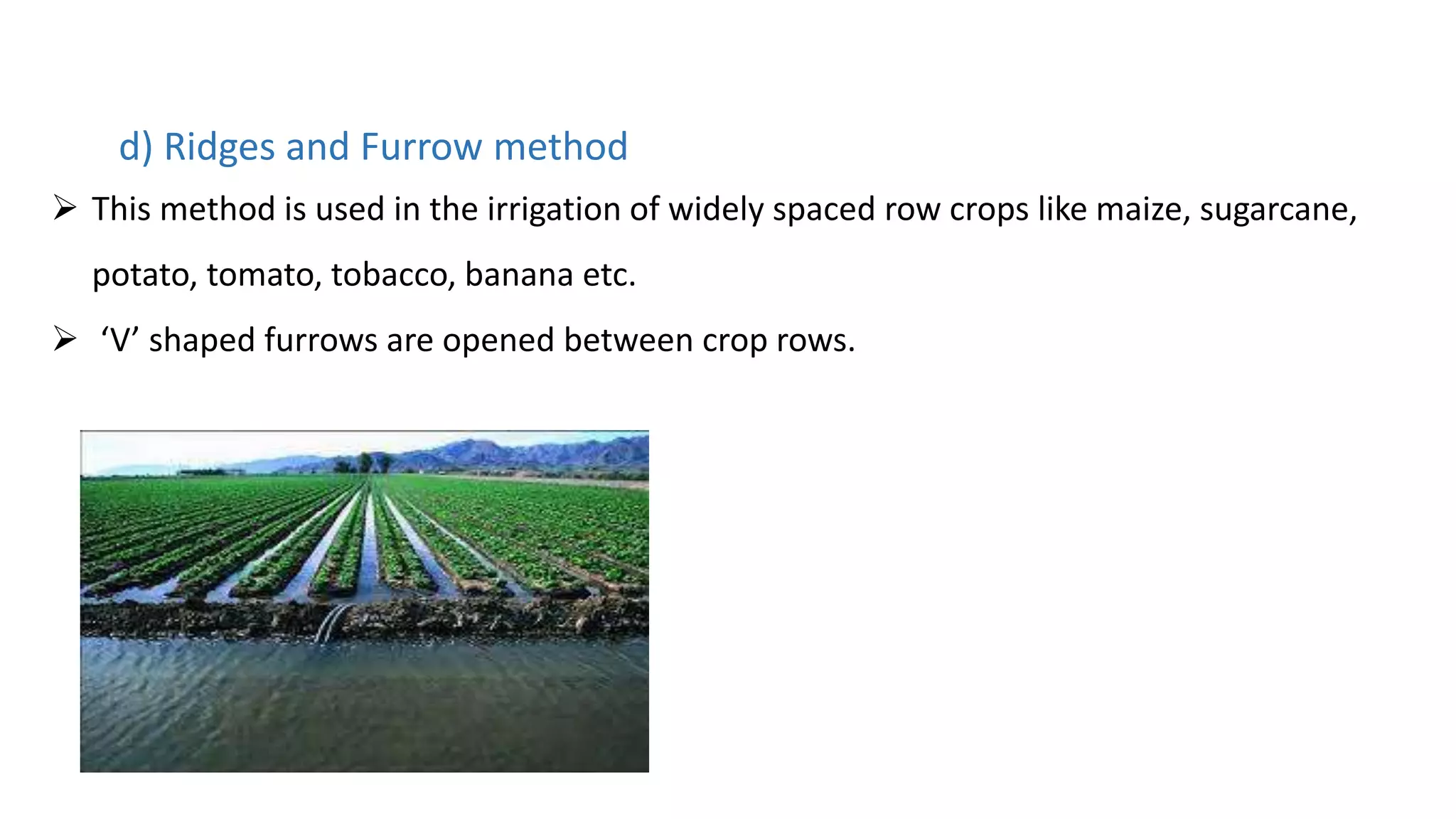 d) Ridges and Furrow method
 This method is used in the irrigation of widely spaced row crops like maize, sugarcane,
potato, tomato, tobacco, banana etc.
 ‘V’ shaped furrows are opened between crop rows.
 
