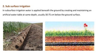 Irrigation Management.pptx
