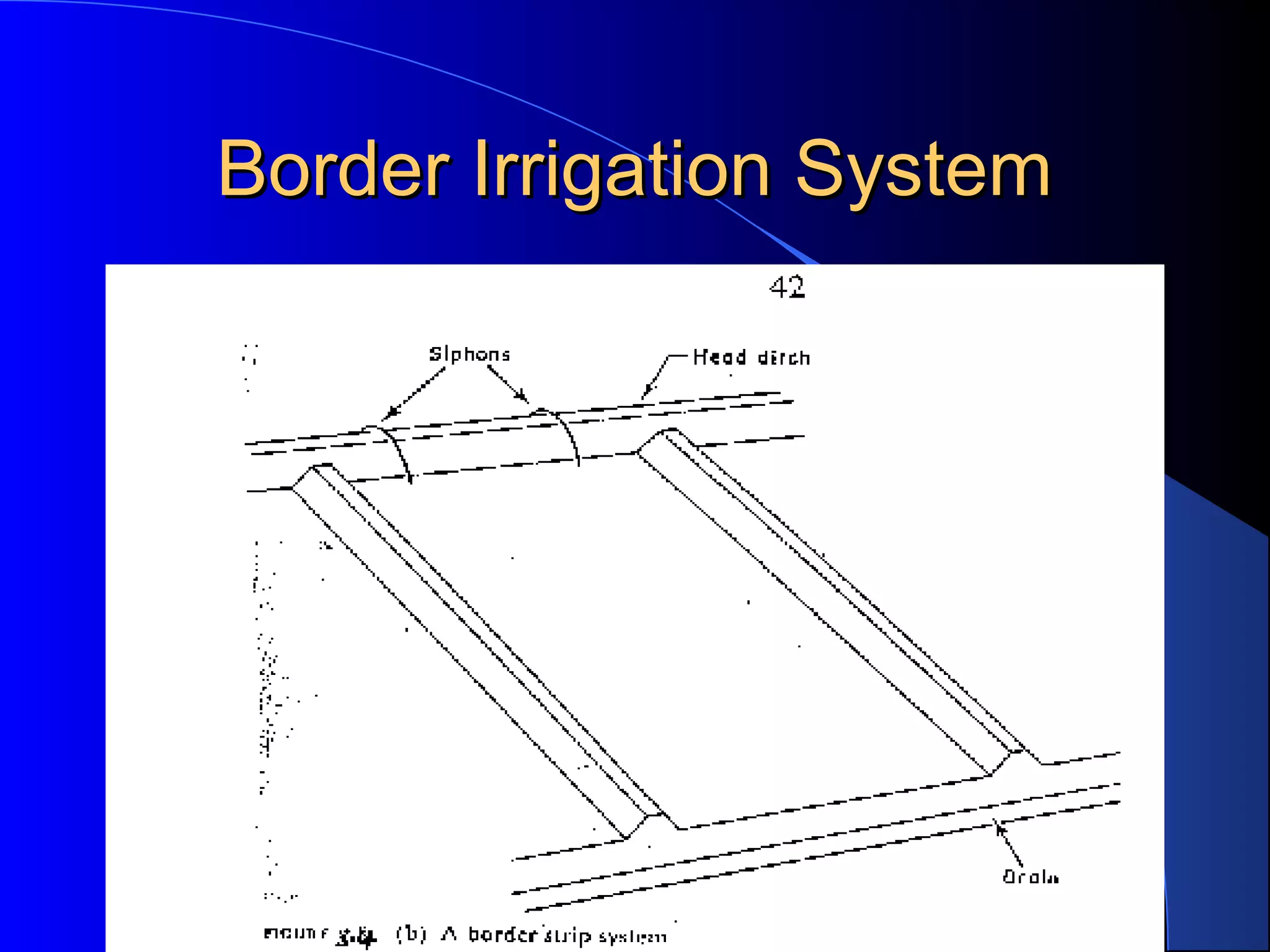 Border Irrigation System

 