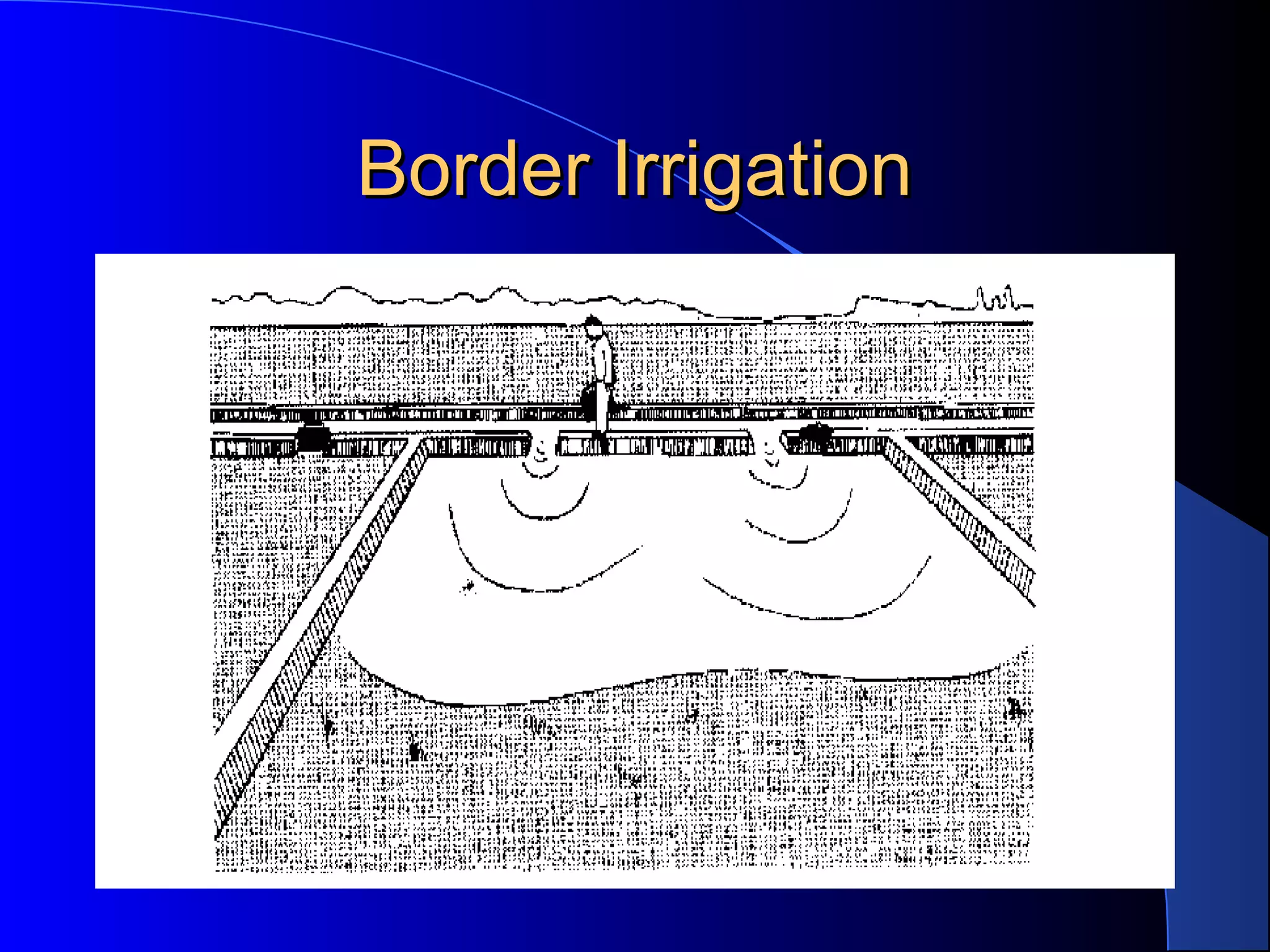 Border Irrigation

 