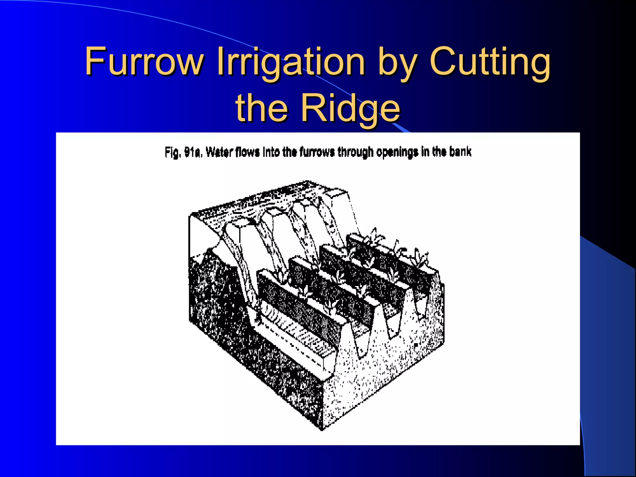 Furrow Irrigation by Cutting 
the Ridge

 