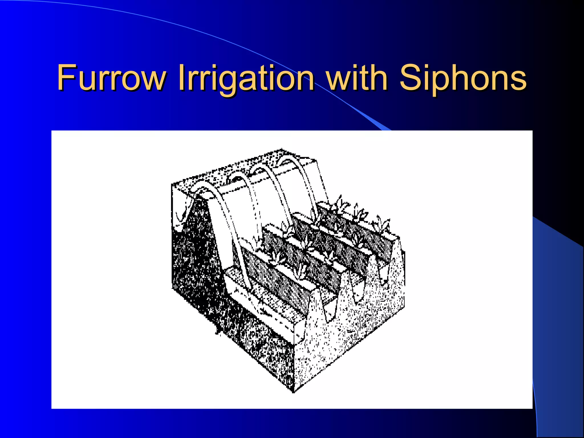 Furrow Irrigation with Siphons

 