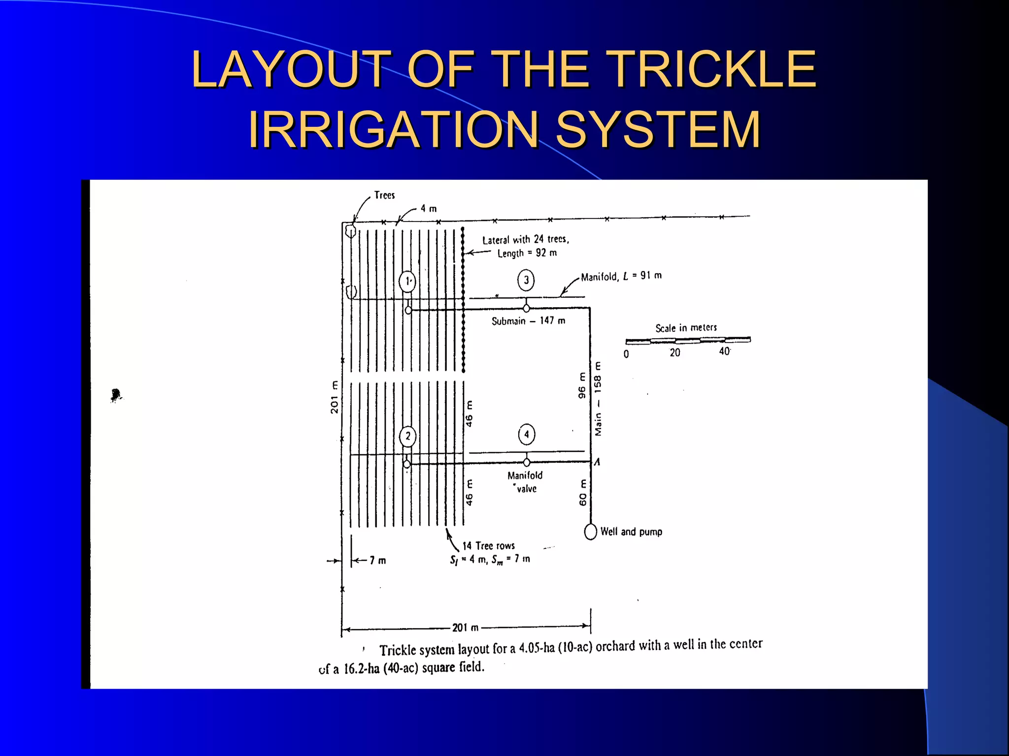 LAYOUT OF THE TRICKLE
IRRIGATION SYSTEM

 