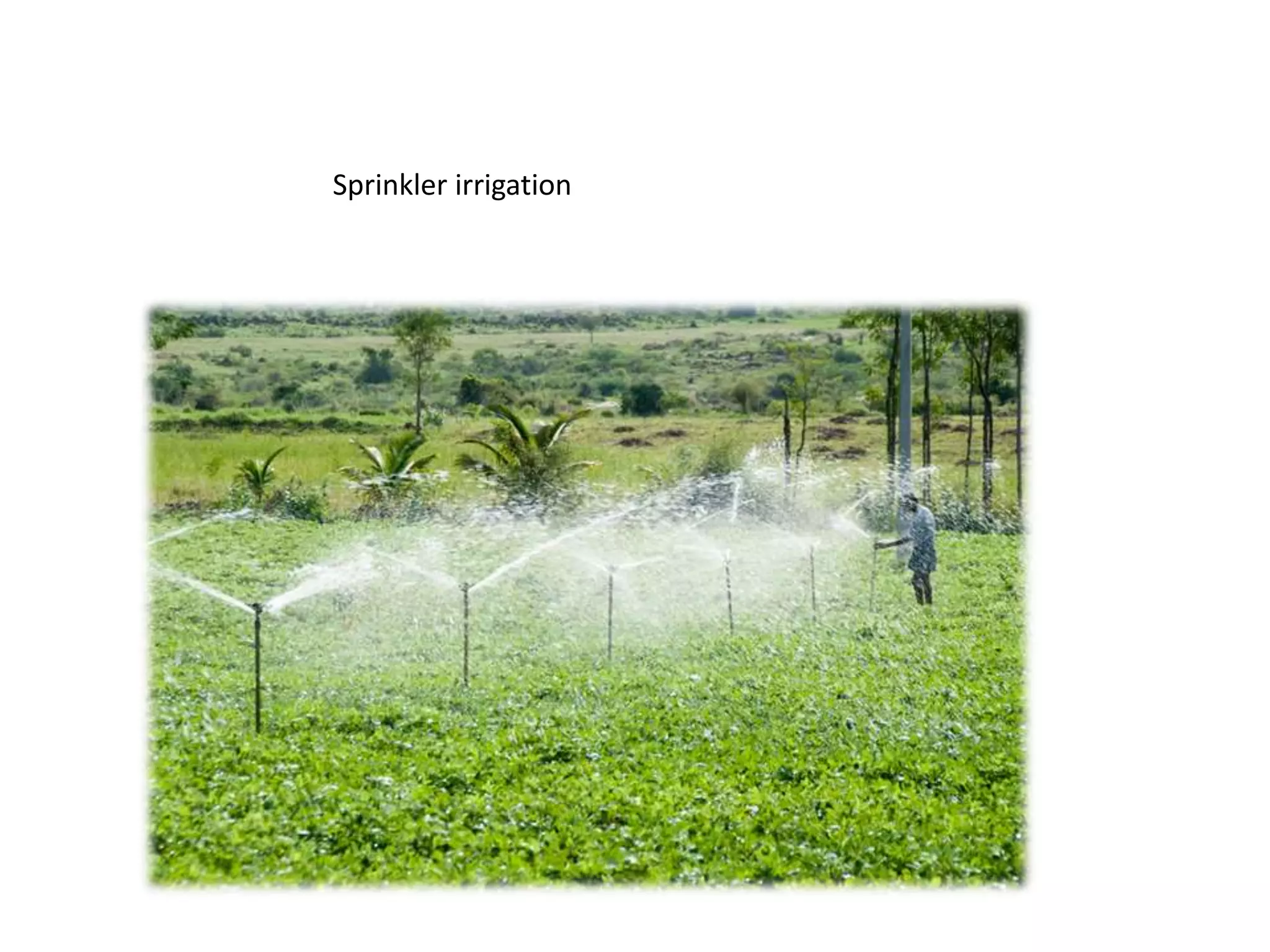 Sprinkler irrigation
 