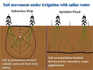 Salt movement under irrigation with saline water
Salt accumulation leached
downward by successive water
applications
Salt accumulation leached
radially outward from drip
tubing
Subsurface Drip Sprinkler/Flood
 
