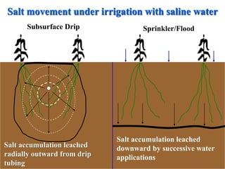 Irrigation methods | PPT