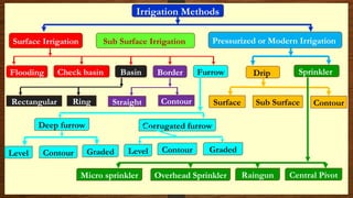 Irrigation_Methods - Irrigation in Agriculture | PPTX