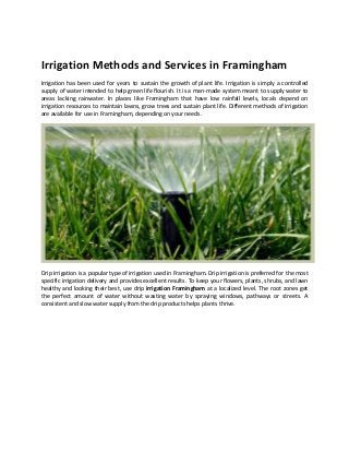 Irrigation Methods and Services in Framingham
Irrigation has been used for years to sustain the growth of plant life. Irrigation is simply a controlled
supply of water intended to help green life flourish. It is a man-made system meant to supply water to
areas lacking rainwater. In places like Framingham that have low rainfall levels, locals depend on
irrigation resources to maintain lawns, grow trees and sustain plant life. Different methods of irrigation
are available for use in Framingham, depending on your needs.

Drip irrigation is a popular type of irrigation used in Framingham. Drip irrigation is preferred for the most
specific irrigation delivery and provides excellent results. To keep your flowers, plants, shrubs, and lawn
healthy and looking their best, use drip irrigation Framingham at a localized level. The root zones get
the perfect amount of water without wasting water by spraying windows, pathways or streets. A
consistent and slow water supply from the drip products helps plants thrive.

 