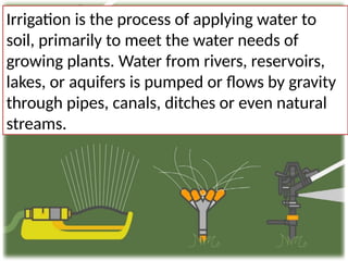 Comprehensive Overview of Irrigation Methods for Agriculture | PPTX