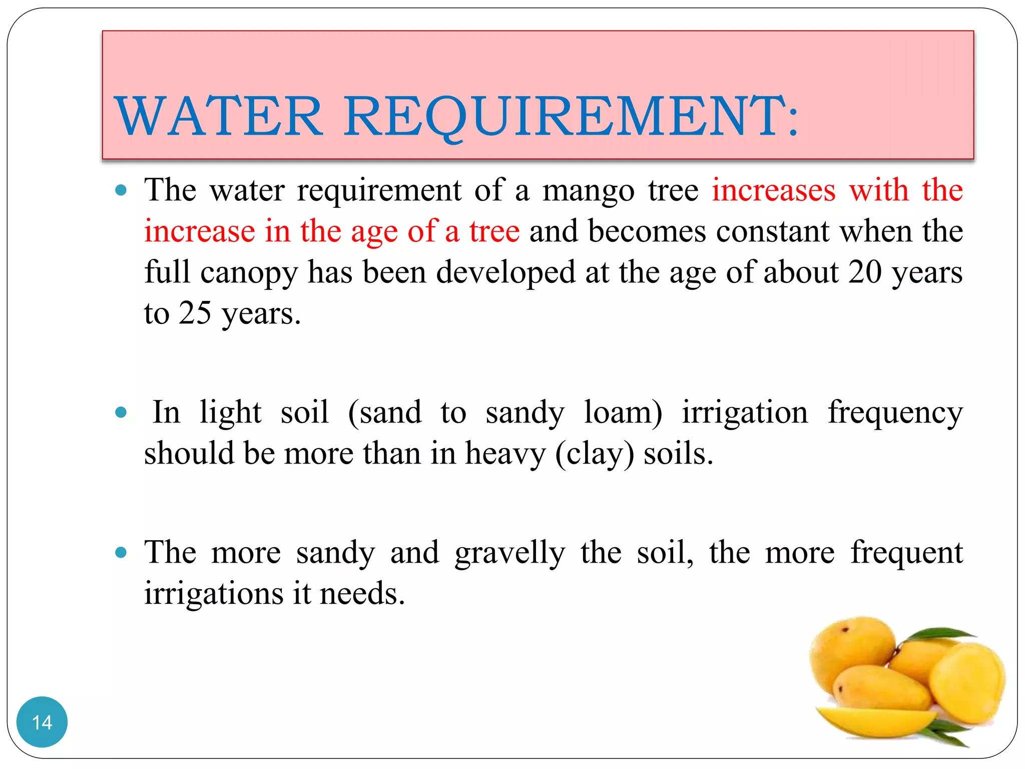 WATER REQUIREMENT:
 The water requirement of a mango tree increases with the
increase in the age of a tree and becomes constant when the
full canopy has been developed at the age of about 20 years
to 25 years.
 In light soil (sand to sandy loam) irrigation frequency
should be more than in heavy (clay) soils.
 The more sandy and gravelly the soil, the more frequent
irrigations it needs.
14
 