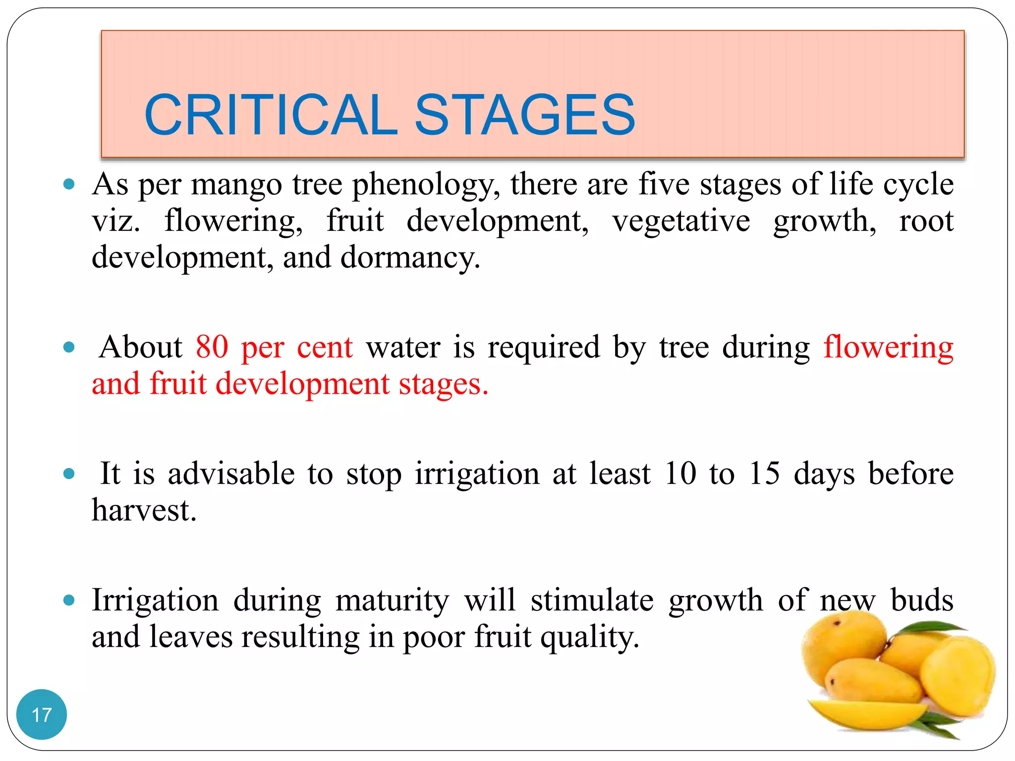 CRITICAL STAGES
 As per mango tree phenology, there are five stages of life cycle
viz. flowering, fruit development, vegetative growth, root
development, and dormancy.
 About 80 per cent water is required by tree during flowering
and fruit development stages.
 It is advisable to stop irrigation at least 10 to 15 days before
harvest.
 Irrigation during maturity will stimulate growth of new buds
and leaves resulting in poor fruit quality.
17
 