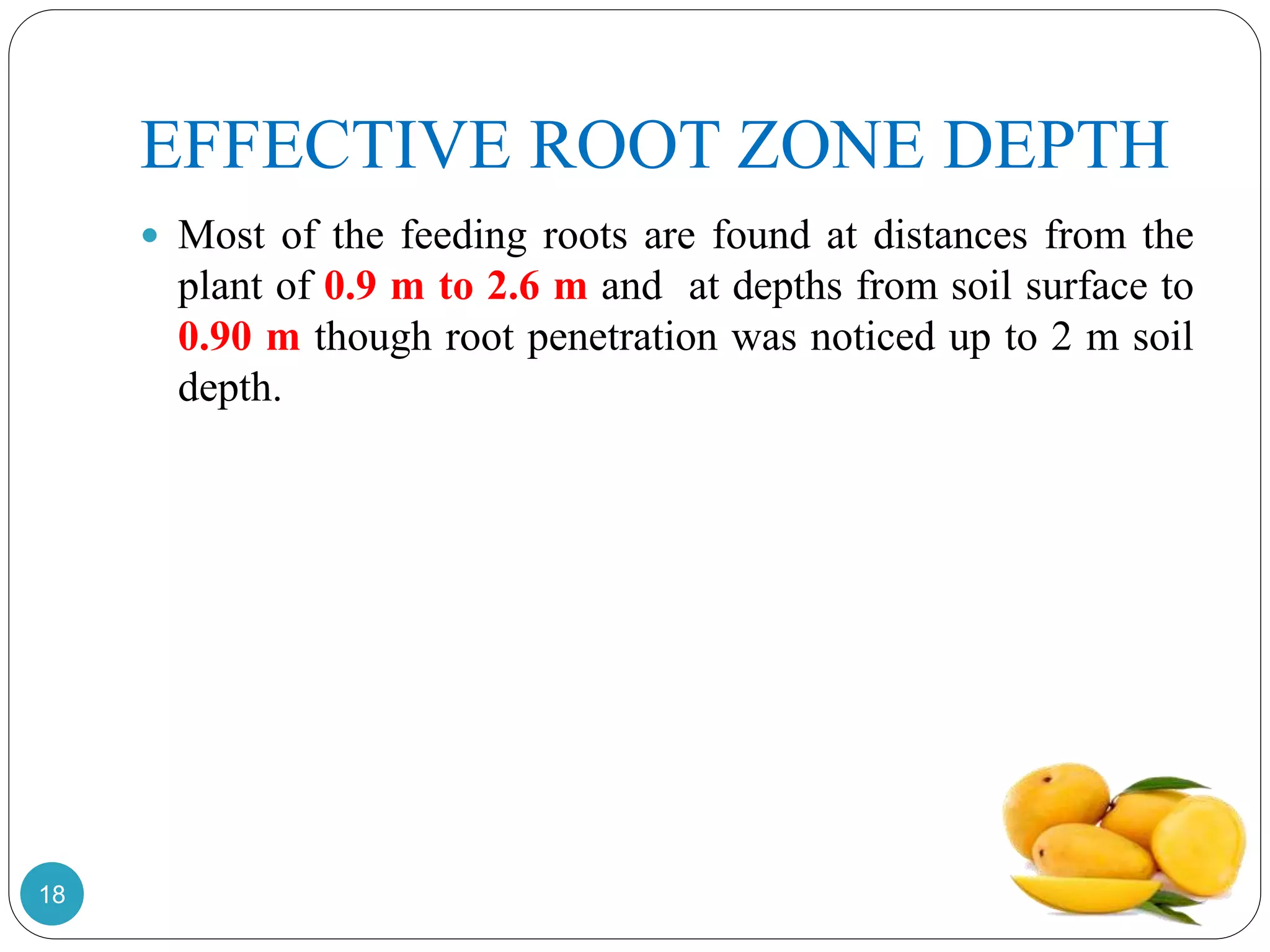 EFFECTIVE ROOT ZONE DEPTH
 Most of the feeding roots are found at distances from the
plant of 0.9 m to 2.6 m and at depths from soil surface to
0.90 m though root penetration was noticed up to 2 m soil
depth.
18
 