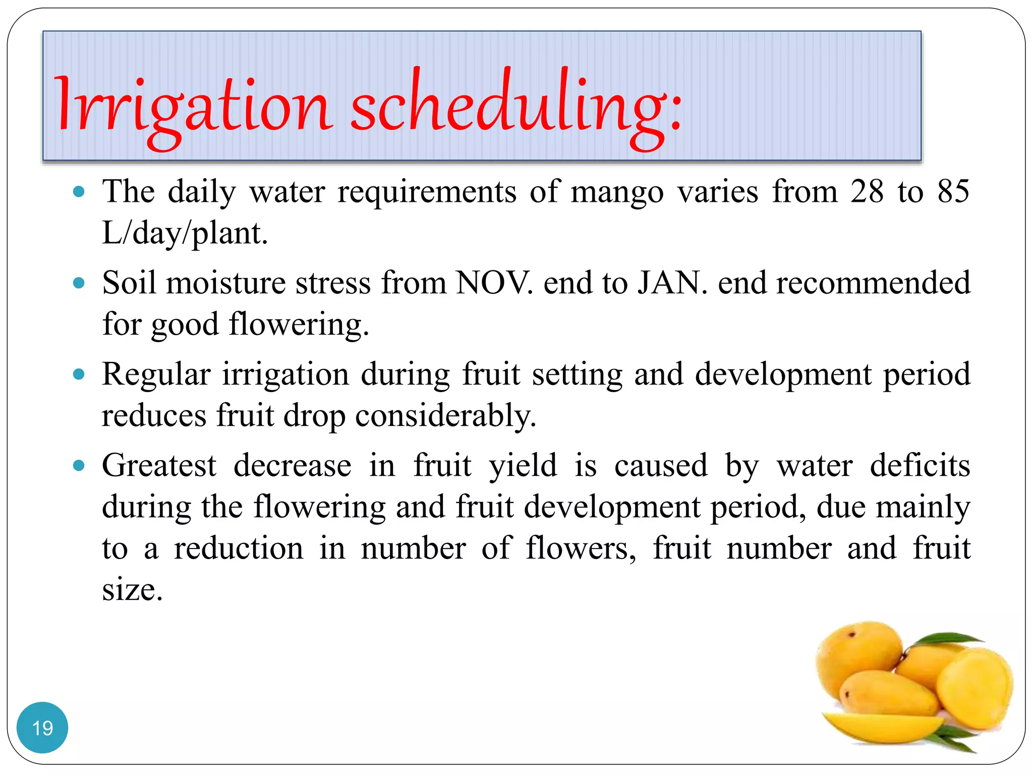 Irrigation scheduling:
 The daily water requirements of mango varies from 28 to 85
L/day/plant.
 Soil moisture stress from NOV. end to JAN. end recommended
for good flowering.
 Regular irrigation during fruit setting and development period
reduces fruit drop considerably.
 Greatest decrease in fruit yield is caused by water deficits
during the flowering and fruit development period, due mainly
to a reduction in number of flowers, fruit number and fruit
size.
19
 