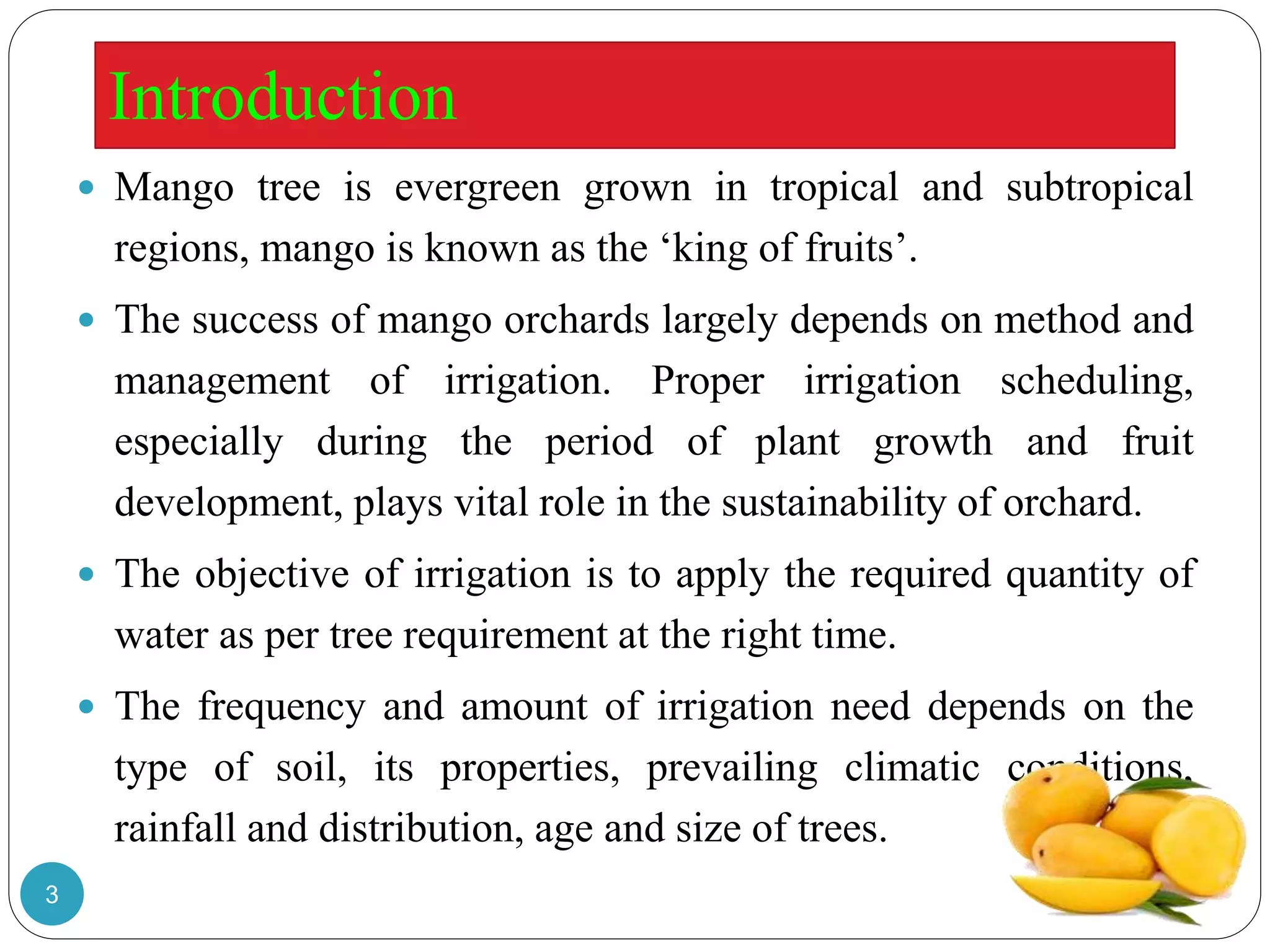 Introduction
 Mango tree is evergreen grown in tropical and subtropical
regions, mango is known as the ‘king of fruits’.
 The success of mango orchards largely depends on method and
management of irrigation. Proper irrigation scheduling,
especially during the period of plant growth and fruit
development, plays vital role in the sustainability of orchard.
 The objective of irrigation is to apply the required quantity of
water as per tree requirement at the right time.
 The frequency and amount of irrigation need depends on the
type of soil, its properties, prevailing climatic conditions,
rainfall and distribution, age and size of trees.
3
 
