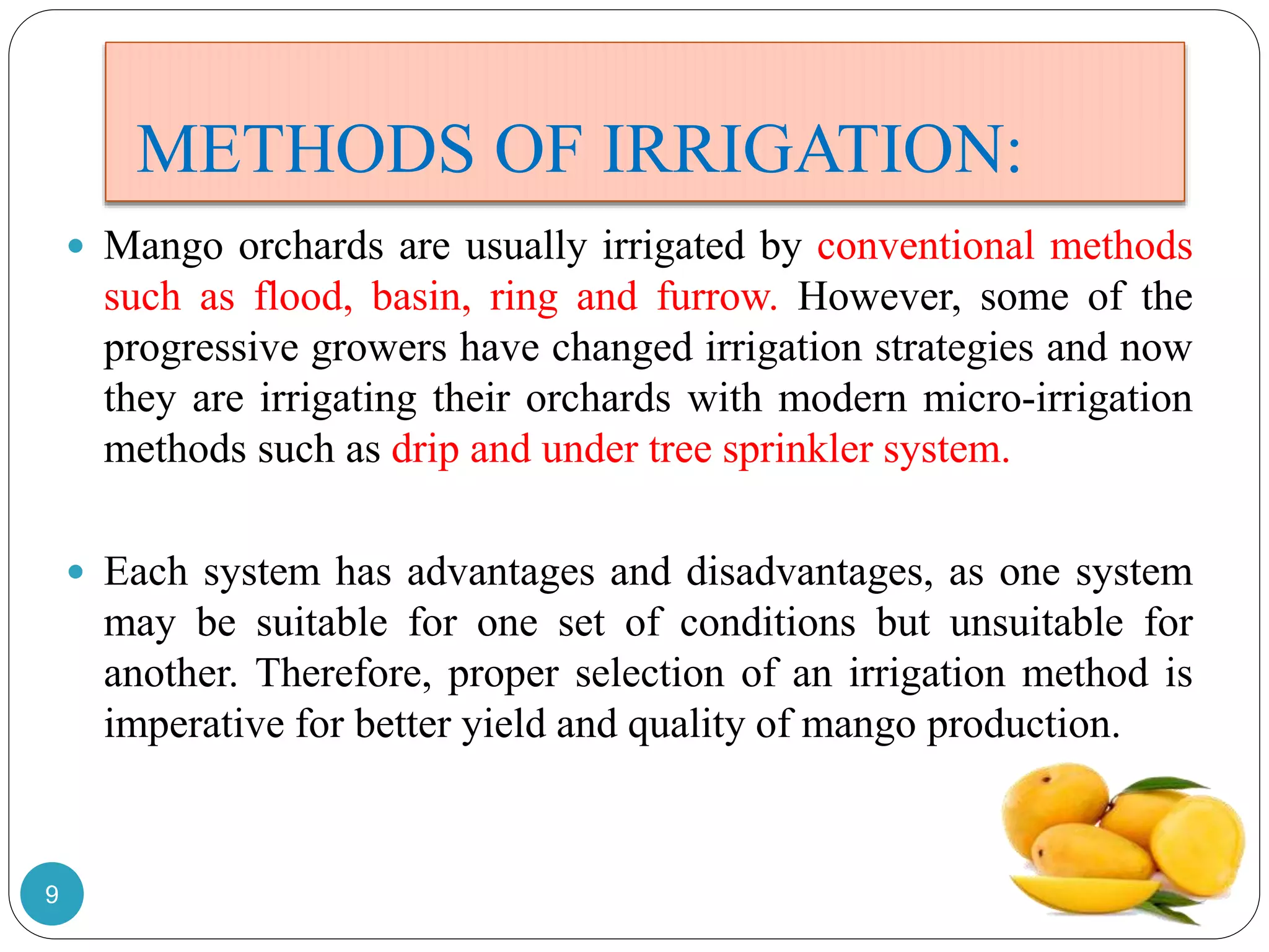 METHODS OF IRRIGATION:
 Mango orchards are usually irrigated by conventional methods
such as flood, basin, ring and furrow. However, some of the
progressive growers have changed irrigation strategies and now
they are irrigating their orchards with modern micro-irrigation
methods such as drip and under tree sprinkler system.
 Each system has advantages and disadvantages, as one system
may be suitable for one set of conditions but unsuitable for
another. Therefore, proper selection of an irrigation method is
imperative for better yield and quality of mango production.
9
 