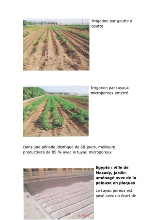 Irrigation par goutte à
                                    goutte




                                   Irrigation par tuyaux
                                   microporeux enterré




Dans une période identique de 60 jours, meilleure
productivité de 85 % avec le tuyau microporeux



                                      Egypte : ville de
                                      Macady, jardin
                                      aménagé avec de la
                                      pelouse en plaques

                                      Le tuyau poreux est
                                      posé avec un écart de
 