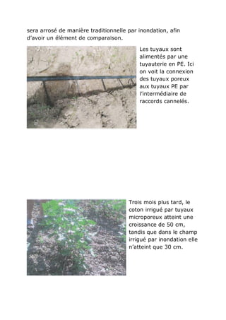 sera arrosé de manière traditionnelle par inondation, afin
d’avoir un élément de comparaison.

                                          Les tuyaux sont
                                          alimentés par une
                                          tuyauterie en PE. Ici
                                          on voit la connexion
                                          des tuyaux poreux
                                          aux tuyaux PE par
                                          l’intermédiaire de
                                          raccords cannelés.




                                      Trois mois plus tard, le
                                      coton irrigué par tuyaux
                                      microporeux atteint une
                                      croissance de 50 cm,
                                      tandis que dans le champ
                                      irrigué par inondation elle
                                      n’atteint que 30 cm.
 