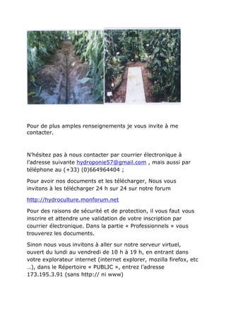 Pour de plus amples renseignements je vous invite à me
contacter.



N’hésitez pas à nous contacter par courrier électronique à
l’adresse suivante hydroponie57@gmail.com , mais aussi par
téléphone au (+33) (0)664964404 ;

Pour avoir nos documents et les télécharger, Nous vous
invitons à les télécharger 24 h sur 24 sur notre forum

http://hydroculture.monforum.net

Pour des raisons de sécurité et de protection, il vous faut vous
inscrire et attendre une validation de votre inscription par
courrier électronique. Dans la partie « Professionnels » vous
trouverez les documents.

Sinon nous vous invitons à aller sur notre serveur virtuel,
ouvert du lundi au vendredi de 10 h à 19 h, en entrant dans
votre explorateur internet (internet explorer, mozilla firefox, etc
…), dans le Répertoire « PUBLIC », entrez l’adresse
173.195.3.91 (sans http:// ni www)
 