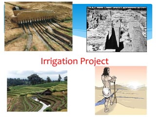 Irrigation Project
 