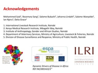 Irrigation and the risk of Rift Valley fever transmission: A case study from Kenya