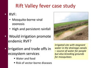 Irrigation and the risk of Rift Valley fever transmission: A case study from Kenya