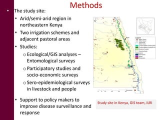Irrigation and the risk of Rift Valley fever transmission: A case study from Kenya