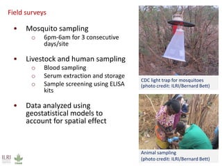 Irrigation and the risk of Rift Valley fever transmission: A case study from Kenya