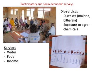 Irrigation and the risk of Rift Valley fever transmission: A case study from Kenya