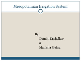 Mesopotamian Irrigation System




           By:
              Damini Kashelkar
              &
              Manisha Mehra
 