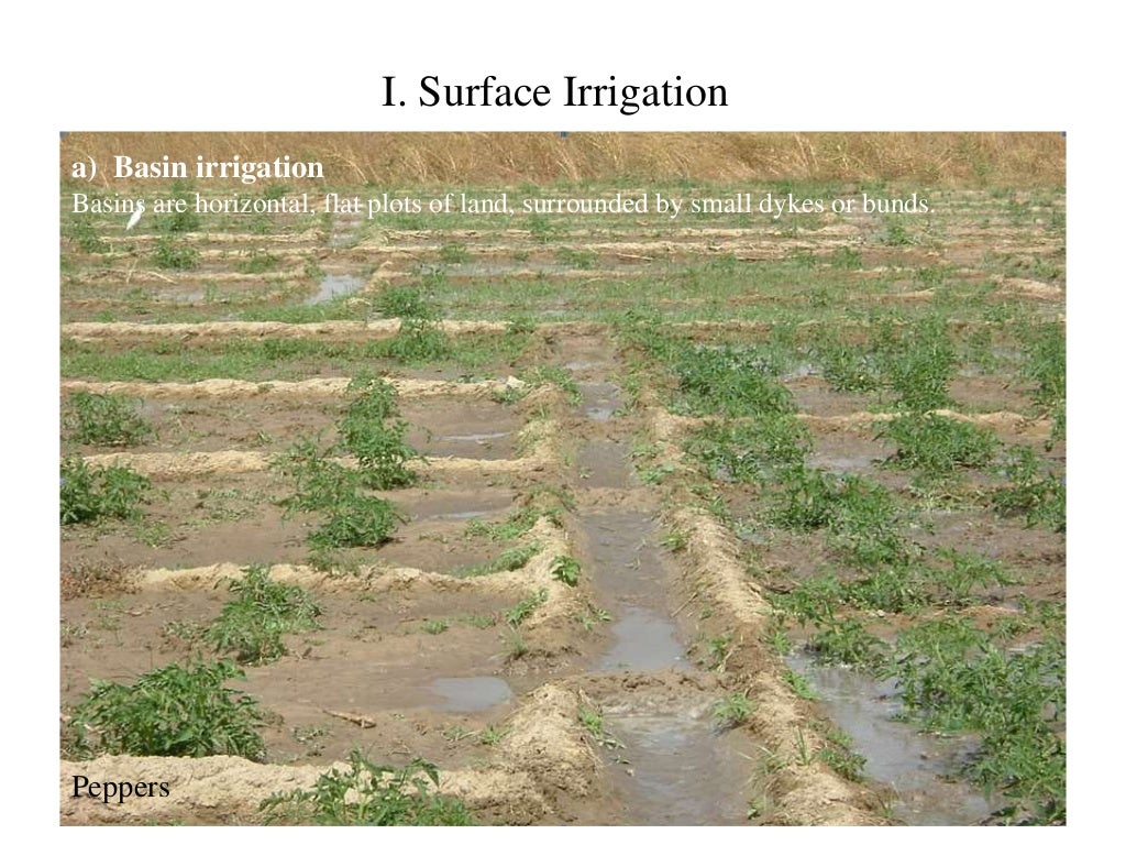 Irrigation system of Pakistan