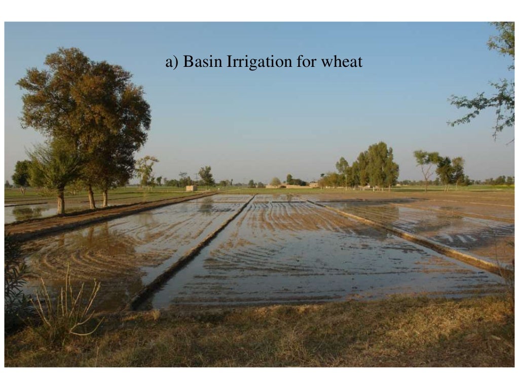 Irrigation system of Pakistan