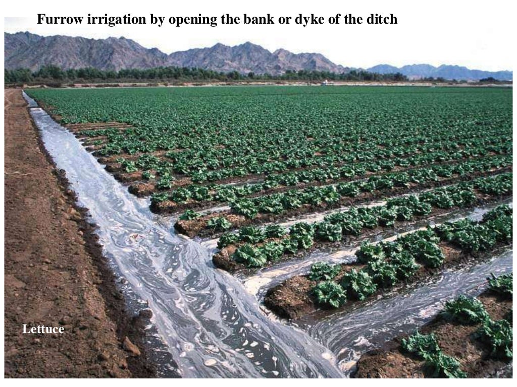 Irrigation system of Pakistan