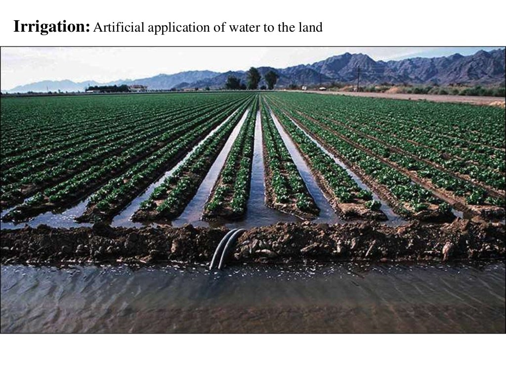 Irrigation system of Pakistan