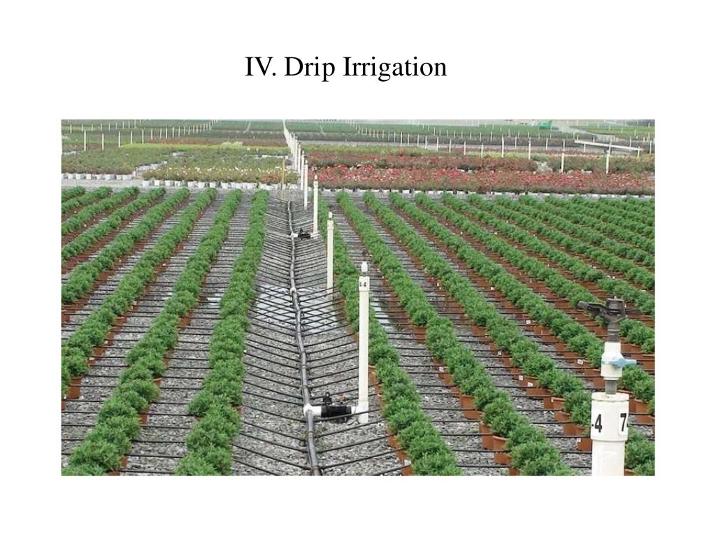 Irrigation system of Pakistan