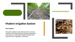 Modern Irrigation System
Drip Irrigation
This system delivers water directly to the root zone
of plants, minimizing water loss through evaporation
and runoff. It is particularly effective for high-value
crops like fruits, vegetables, and flowers.
 