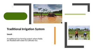 Traditional Irrigation System
Sawah
A traditional rice farming system where fields
are flooded with water to cultivate rice.
 