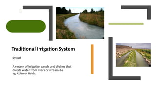 Traditional Irrigation System
Diwari
A system of irrigation canals and ditches that
diverts water from rivers or streams to
agricultural fields.
 