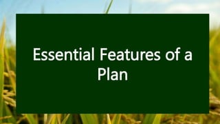 Essential Features of a
Plan
 