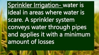 Sprinkler Irrigation- water is
ideal in areas where water is
scare. A sprinkler system
conveys water through pipes
and applies it with a minimum
amount of losses
 