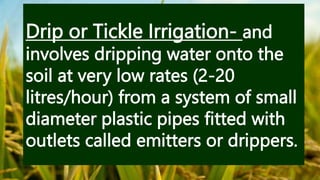 Drip or Tickle Irrigation- and
involves dripping water onto the
soil at very low rates (2-20
litres/hour) from a system of small
diameter plastic pipes fitted with
outlets called emitters or drippers.
 