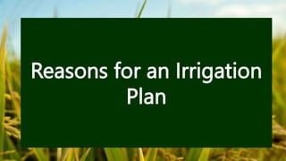 Reasons for an Irrigation
Plan
 