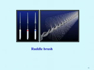 22
Ruddle brush
 