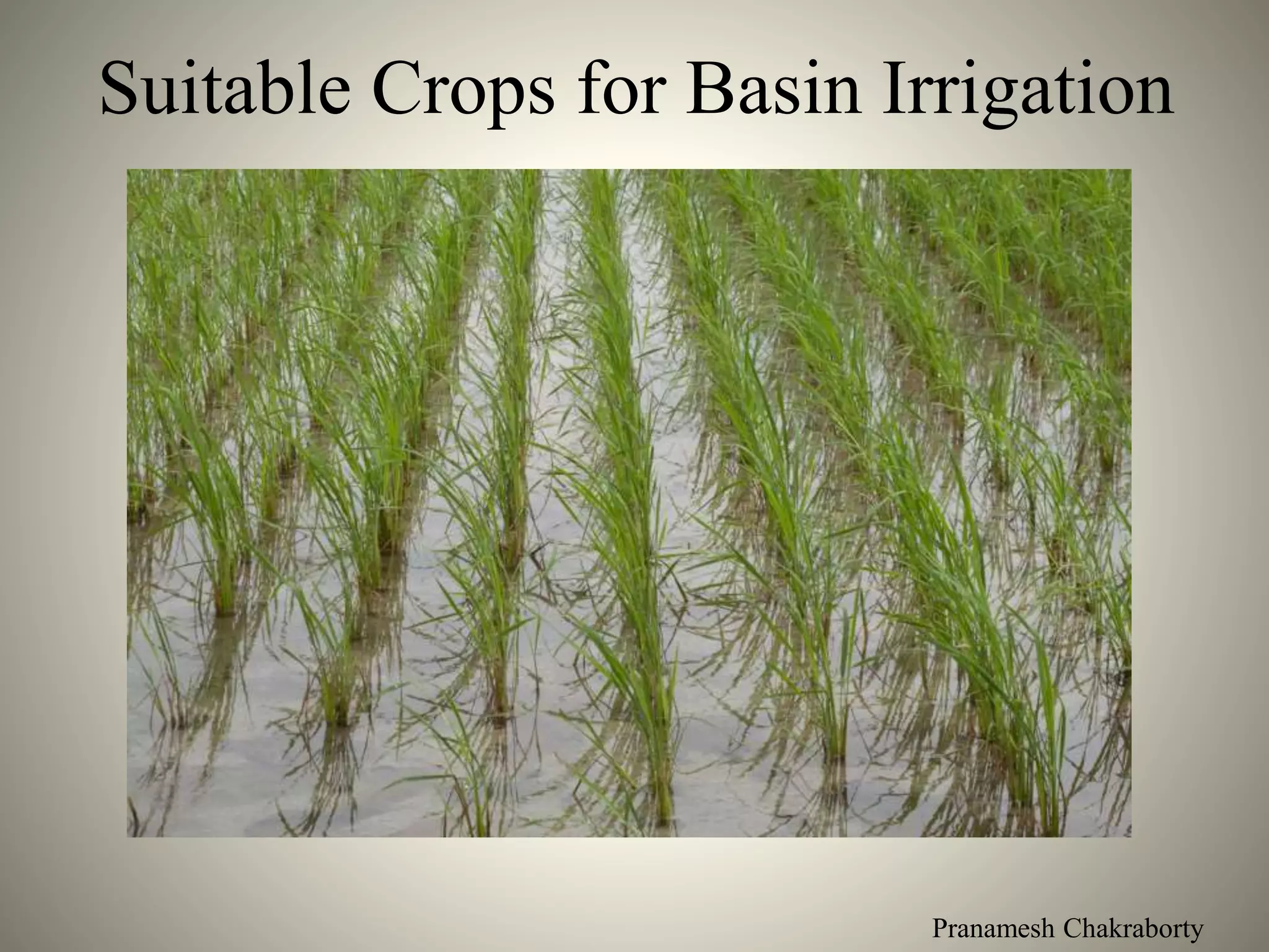 Pranamesh Chakraborty
Suitable Crops for Basin Irrigation
 
