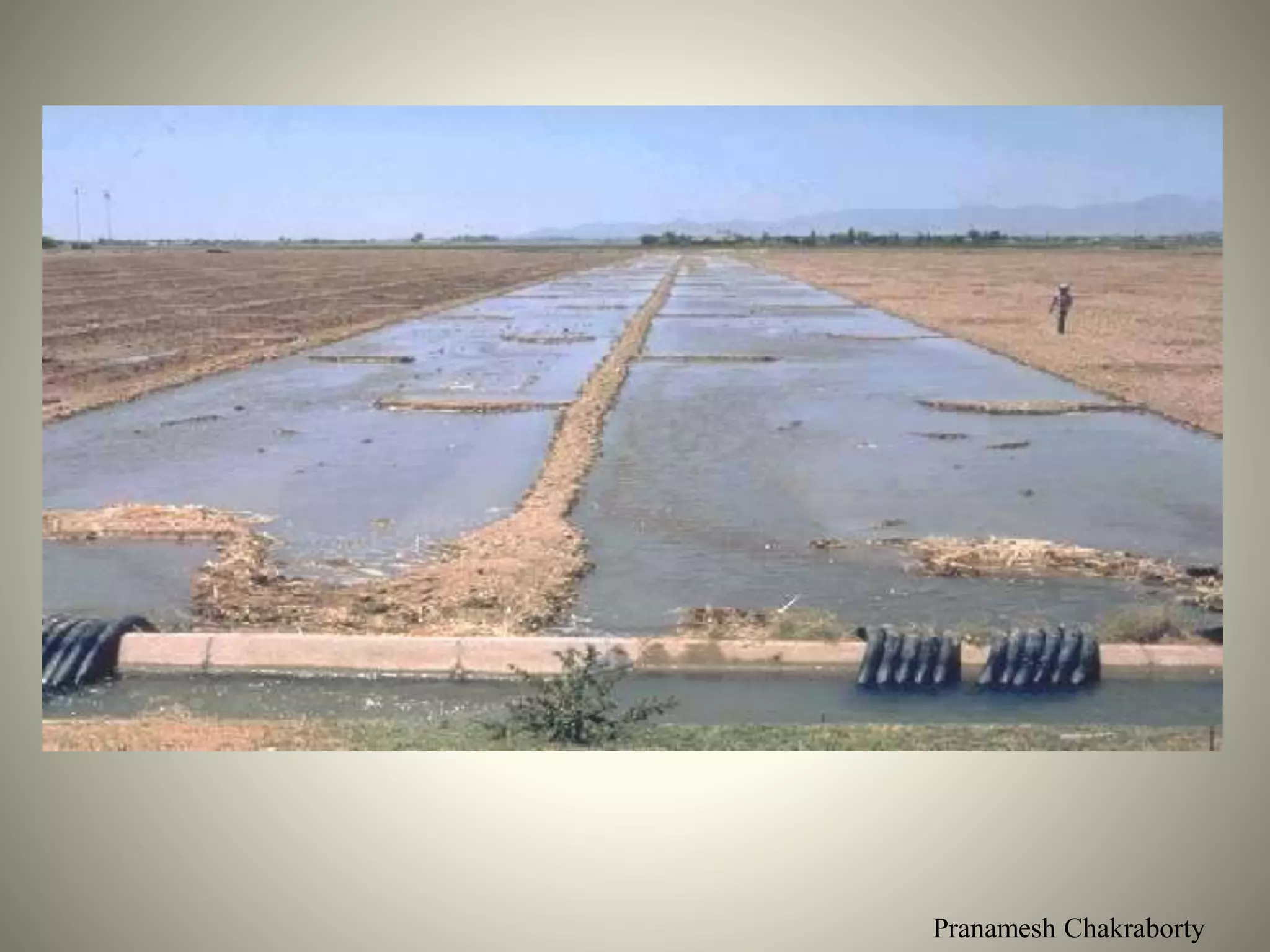 Pranamesh Chakraborty
 