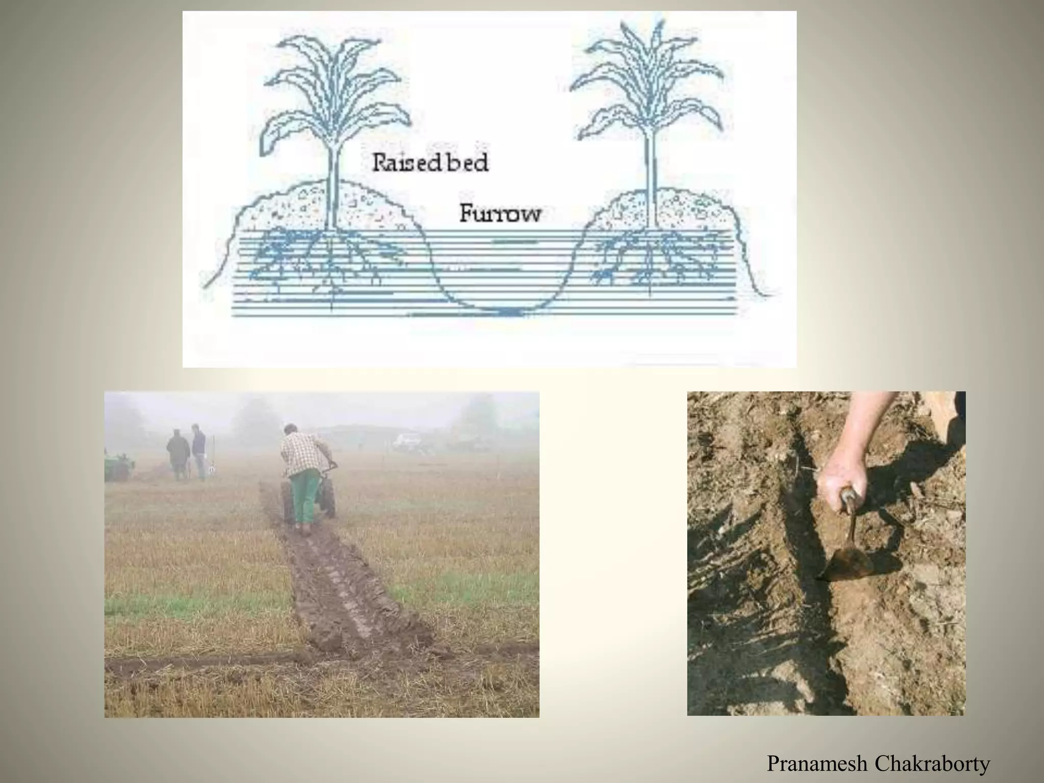 Pranamesh Chakraborty
 