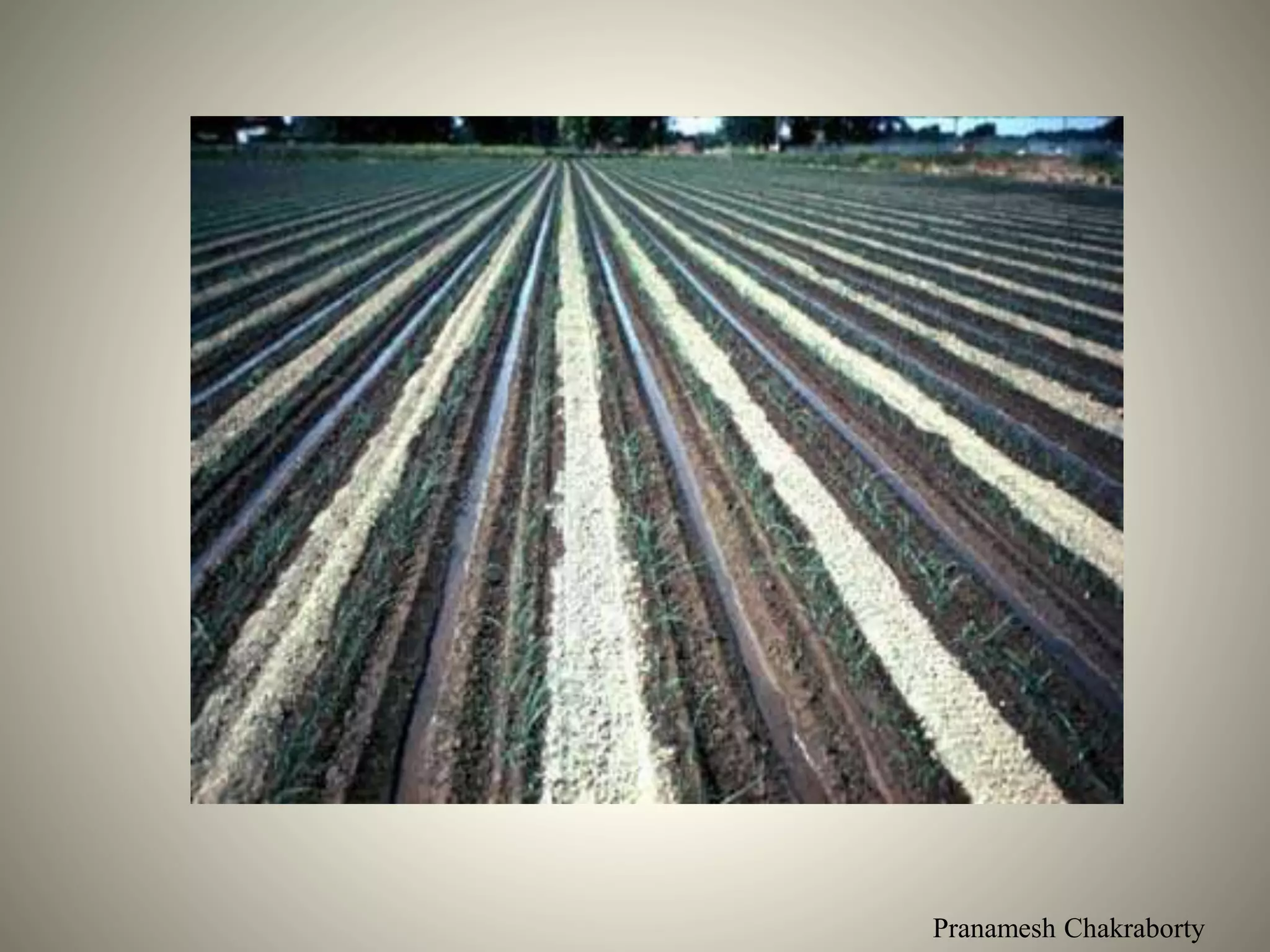 Pranamesh Chakraborty
 