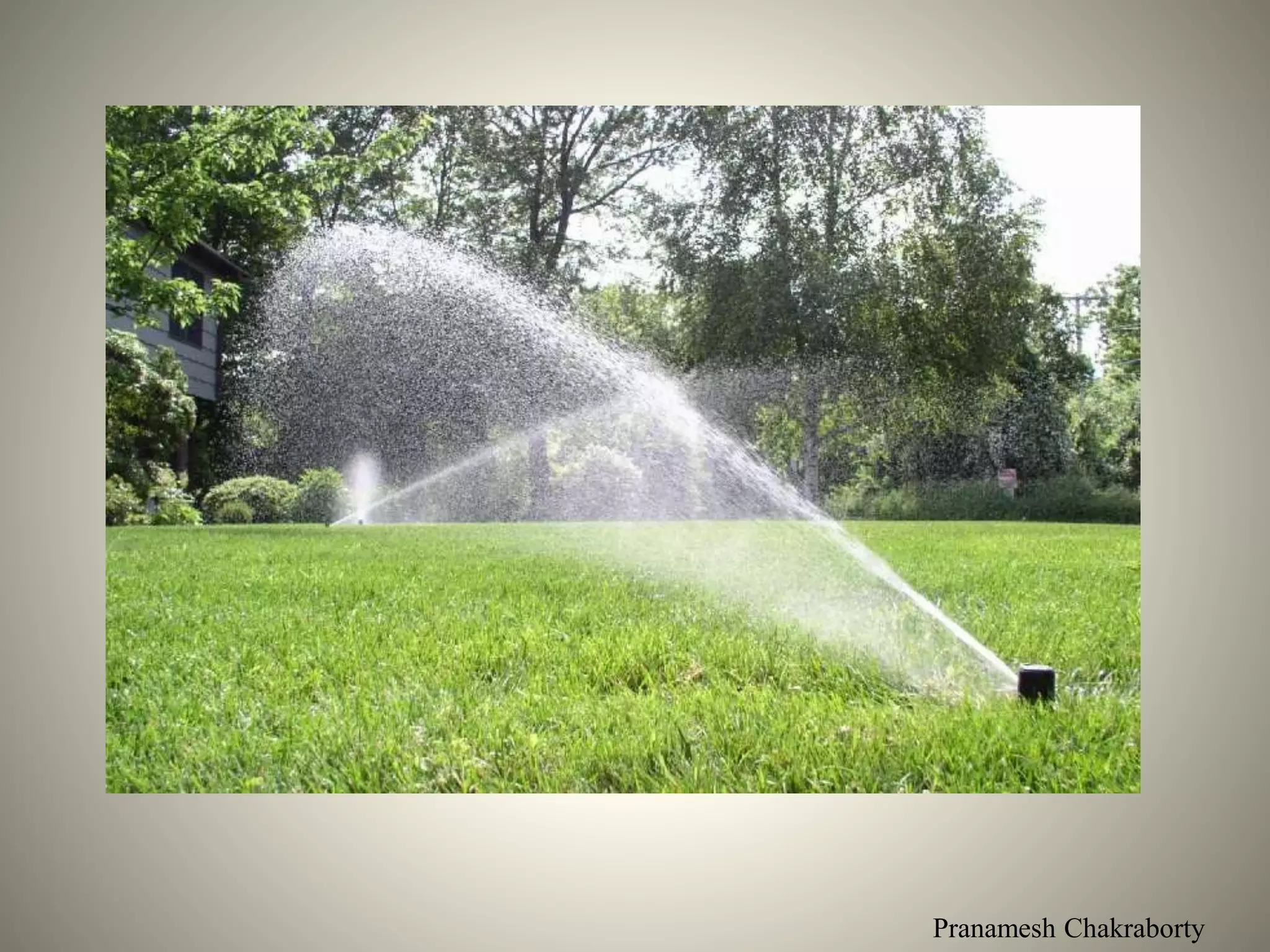 Pranamesh Chakraborty
 