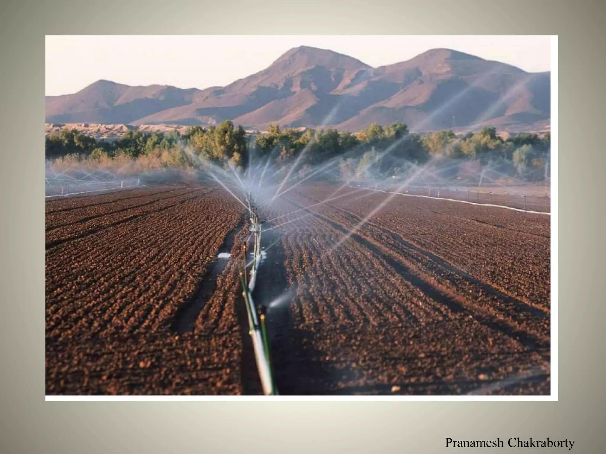Pranamesh Chakraborty
 